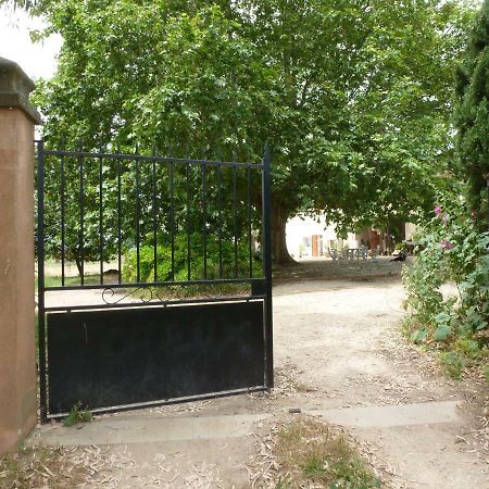 Domaine De Camp Joyeux Lägenhet Puget-Ville Exteriör bild