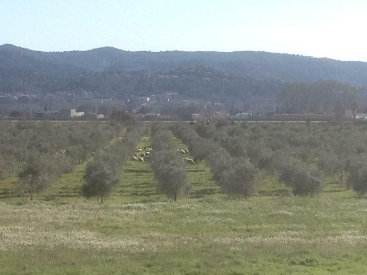 Domaine De Camp Joyeux Lägenhet Puget-Ville Exteriör bild