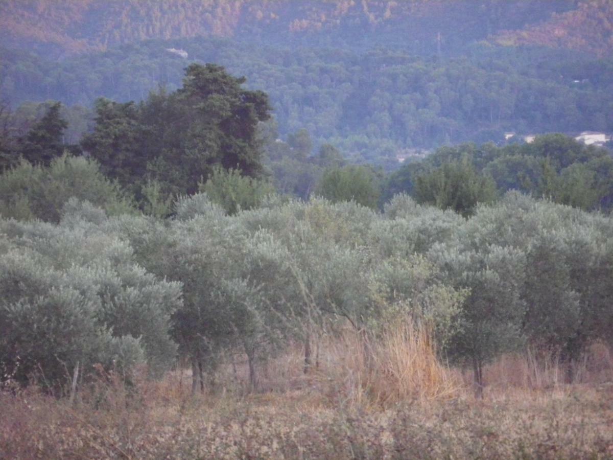 Domaine De Camp Joyeux Lägenhet Puget-Ville Exteriör bild