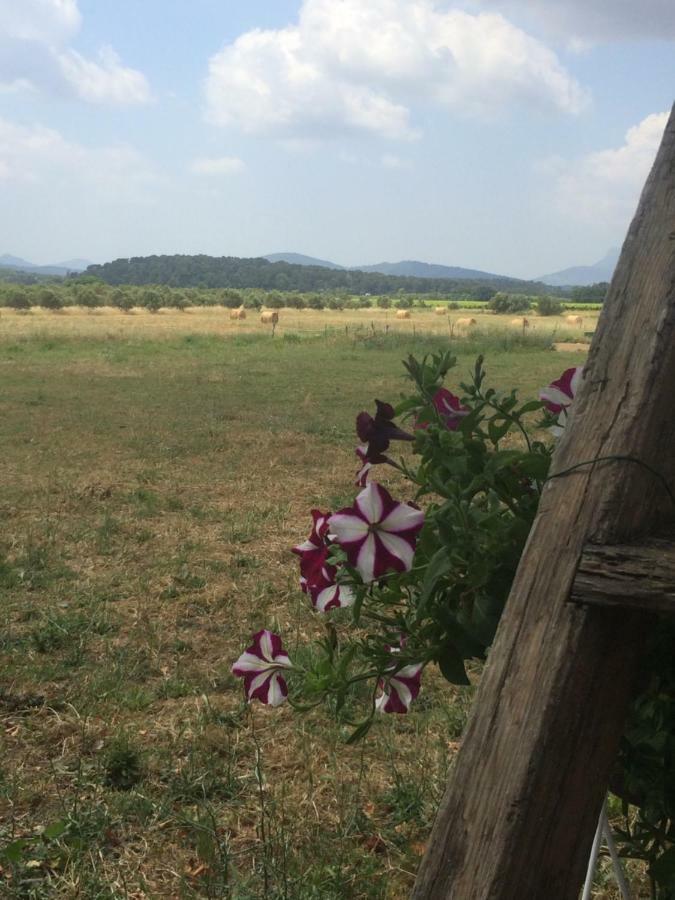 Domaine De Camp Joyeux Lägenhet Puget-Ville Exteriör bild