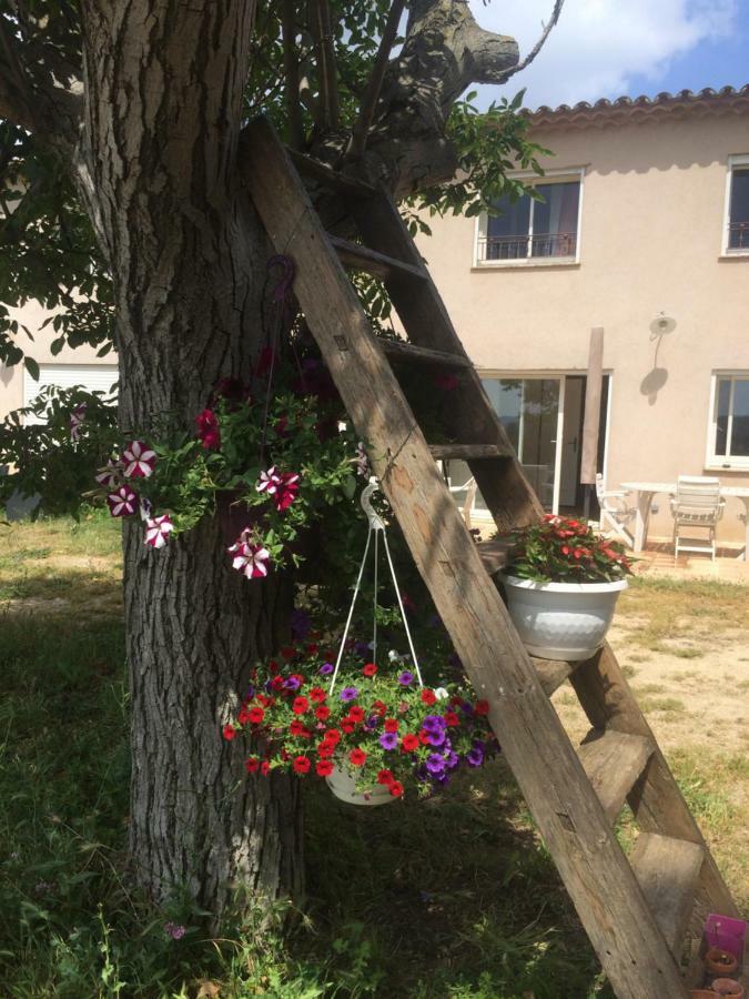 Domaine De Camp Joyeux Lägenhet Puget-Ville Exteriör bild