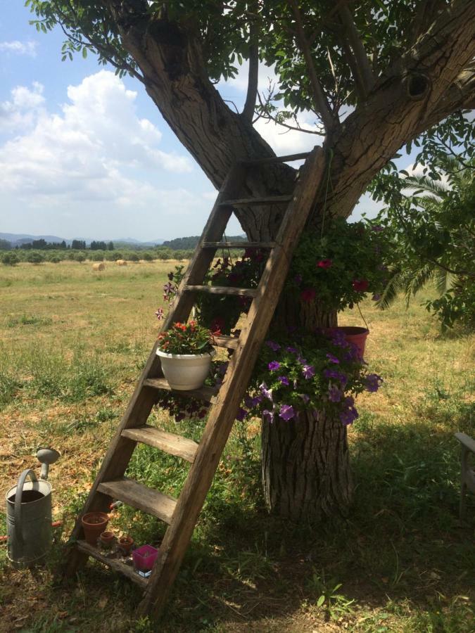 Domaine De Camp Joyeux Lägenhet Puget-Ville Exteriör bild